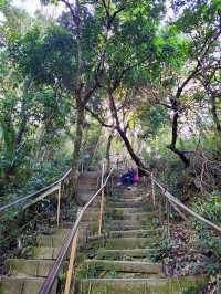 靜謐山林裡的大佛手——南觀音山步道小旅行