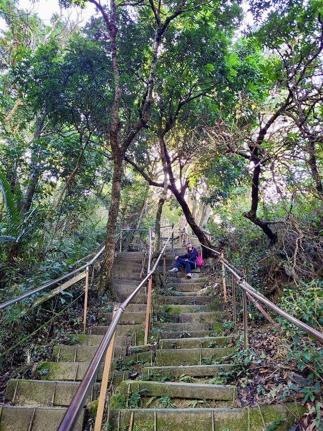靜謐山林裡的大佛手——南觀音山步道小旅行