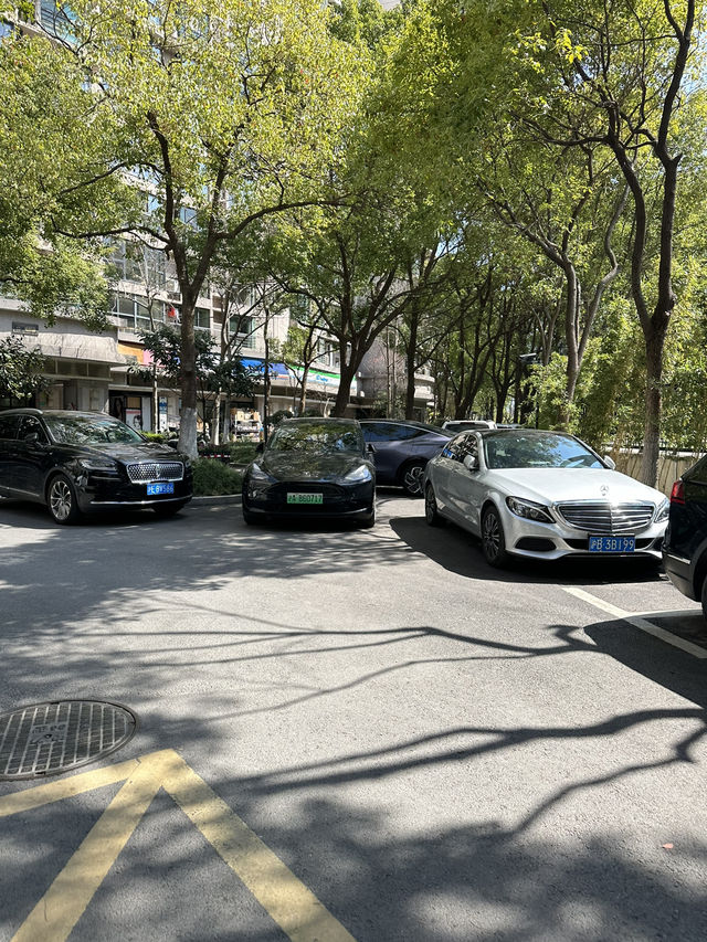 🌳🏙️ 1000 Trees Shanghai — เมืองก็มีป่าได้!