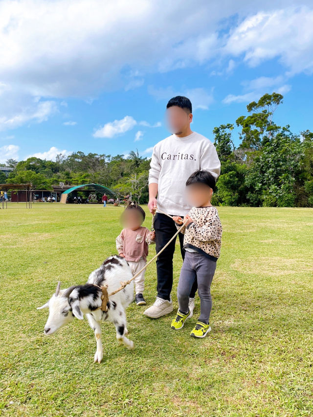 【沖縄】ビオスの丘