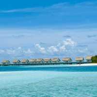 Rocking Paradise Found
