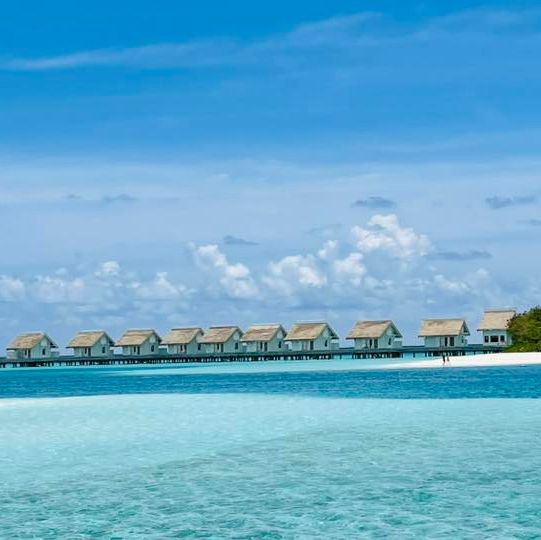 Rocking Paradise Found