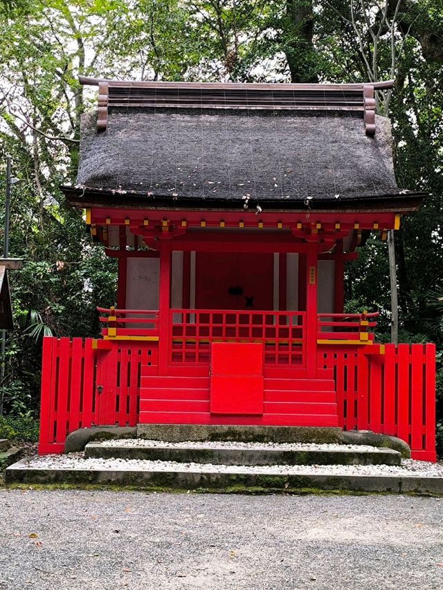 Peaceful Shrine Walk🌞