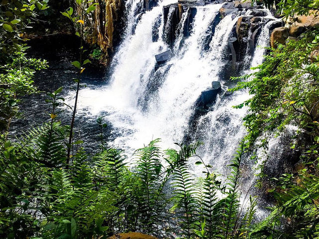 Rochester Falls - Tricky to find but worth a visit