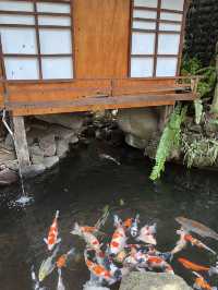Farm House Lembang, Seruw