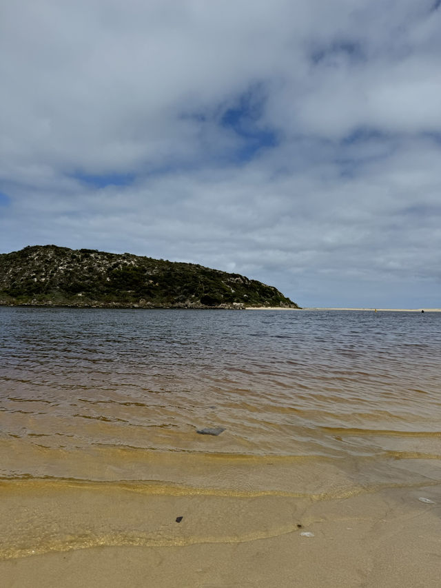 【オーストラリア・西オーストラリア】川と海が出会う癒しの場所「Moore River Estuary」🌊🌿