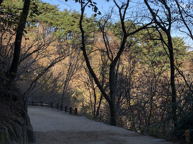 🕊️ 경주, 불국사와 석굴암에서 만난 신비로운 역사