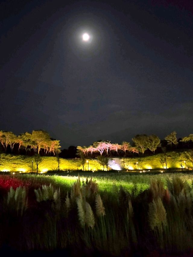 천년 고도, 경주의 밤 산책🌛