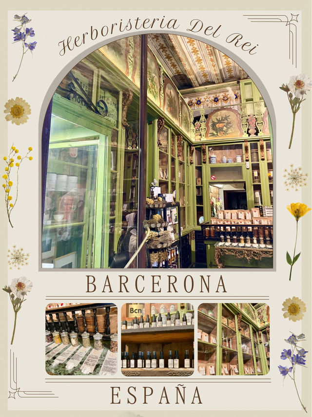 バルセロナの香りをお土産に🇪🇸バルセロナのハーブ店 バルセロナの香りをお土産に🇪🇸バルセロナのハーブ店