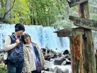 日本青森奧入瀨溪流