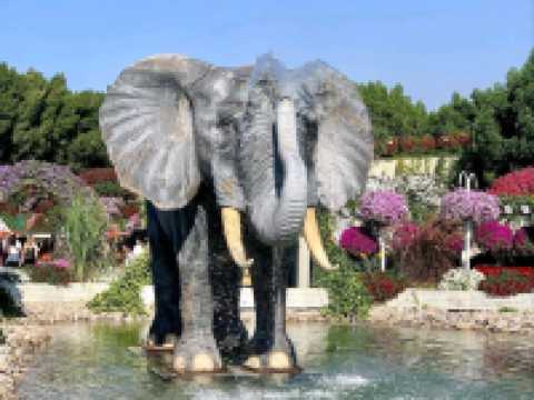 A Blooming Wonderland of Color and Creativity