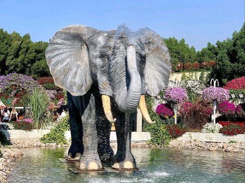 A Blooming Wonderland of Color and Creativity