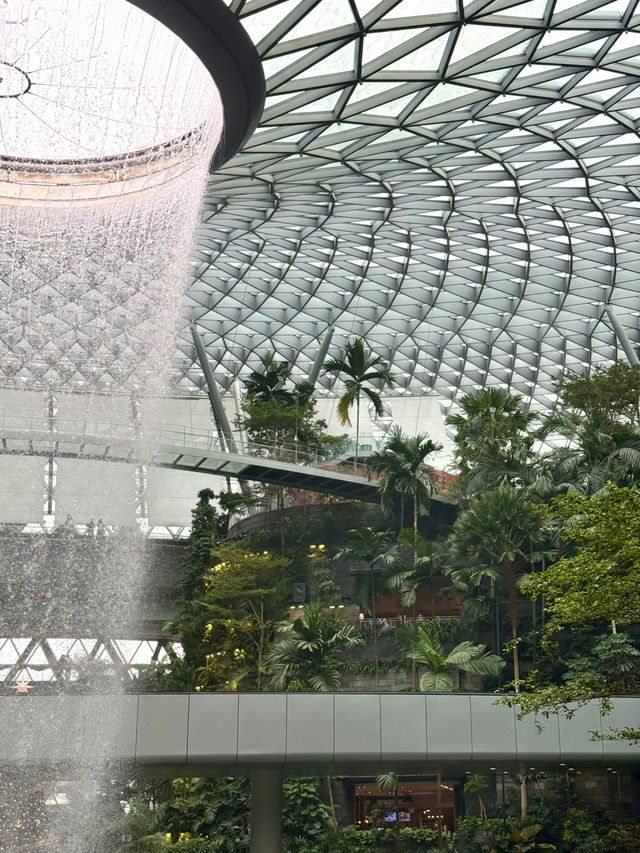 Christmas Wonderland Awaits at Jewel Changi 