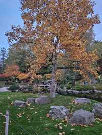 🌳✨ Green Escape & Elegance at Holland Park 🏞️