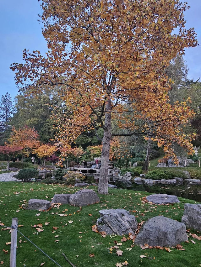🌳✨ Green Escape & Elegance at Holland Park 🏞️