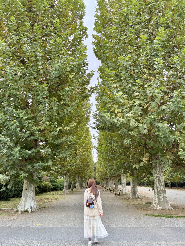 도쿄 4박5일 여행기 도쿄 4박5일 여행기