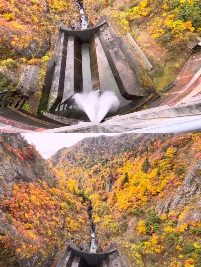🍁札幌必打卡！深秋豐平峽水庫紅葉絕景全攻略