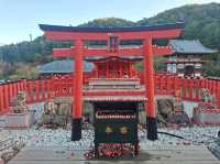 ✨️勝尾寺達摩寺⛩️大阪必去打卡好去處介紹📸💕