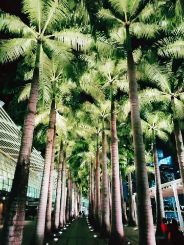 新加坡金沙酒店無邊泳池夜遊推薦