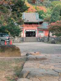【奈良市】学問の神様も歌を詠んだ紅葉名所『手向山八幡宮』
