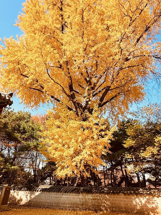 The Photogenic Heart of the Hanok Village The Photogenic Heart of the Hanok Village