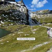 🏔️❄️ GRINDELWALD — THE ALPINE DREAM VILLAGE