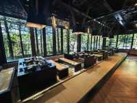 🌲落羽松秘境中的蔬食饗宴#🌿 澄石享自在-臺中市北屯區