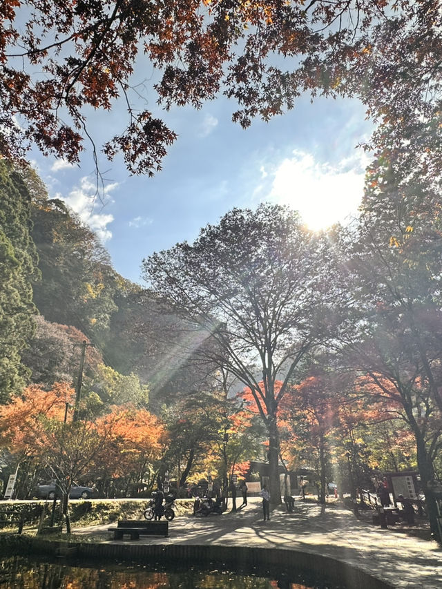 高千穗峽的🍁楓葉美到爆炸：一日遊看完我直接重刷人生