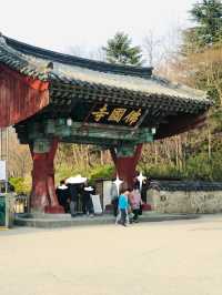 다시 가보고 싶은 경주 필수 코스 불국사