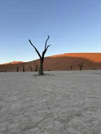 【世界最古の砂漠】ナミブ砂漠🇳🇦