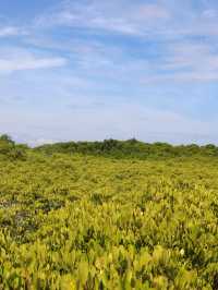ทุ่งโปรงทอง 🌳