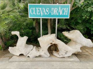 Echoes Below & Liquid Light