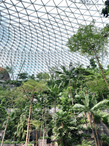 シンガポールのジュエル・チャンギ空港にて。 | Trip.com シンガポール