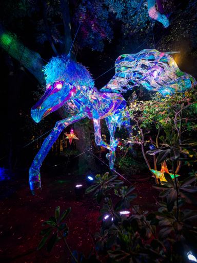 Experience Mirror Bowler's Dazzling Art in Enoshima! | Trip.com