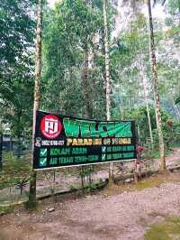 Kolam Abadi – Samosir's Hidden Jungle Paradise