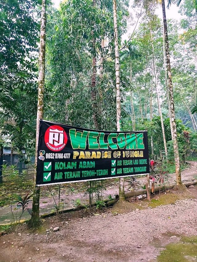 Kolam Abadi – Samosir's Hidden Jungle Paradise