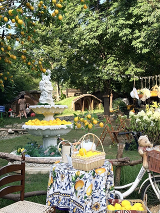 🌼📸 Wuhan travel plan | Step into a Monet-style flower garden at HERRE FARM.