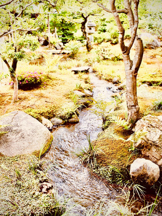 Yufuin Lake Kinrinko’s Morning Mist Art Museum Walkslowtraveling