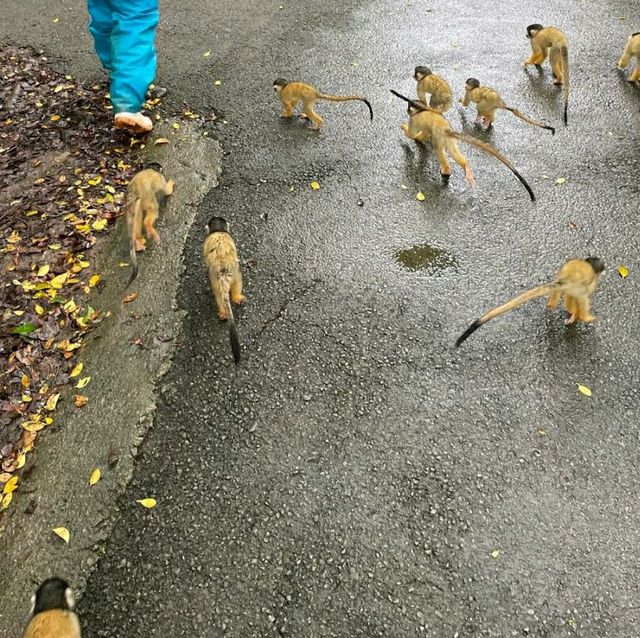 琉球王國時代的氣息