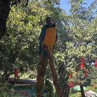 Guangzhou must-visit spot for bird watchers