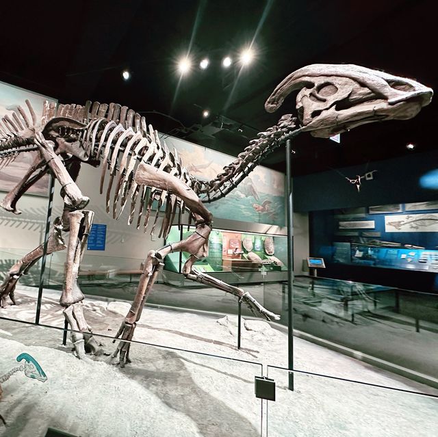 1 of the biggest museum🦖🦕