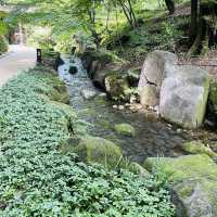 【名古屋市🇯🇵徳川園】マイナスイオンに包まれて☺️のんびり庭園散歩
