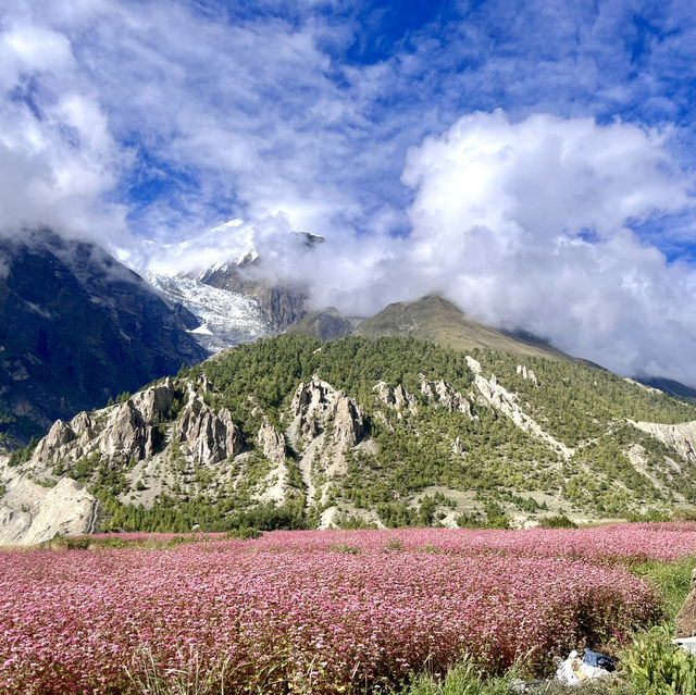 🌟🏔️ Epic Adventure Alert: I Conquered the Annapurna Circuit!