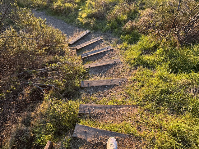 2025舊金山柏克萊大學最佳欣賞夕陽景點：Grizzly Peak Vista Point