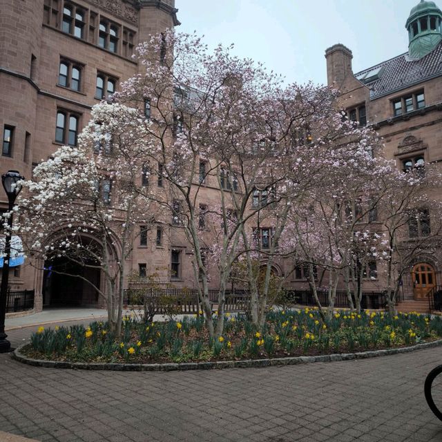 New Haven Day Trip