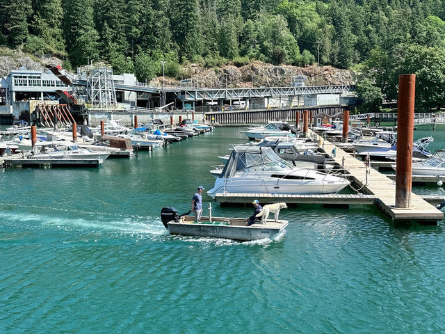 🇨🇦Vancouver에서 가장 평화롭고 아름다운 동네 Horseshoe bay!!
