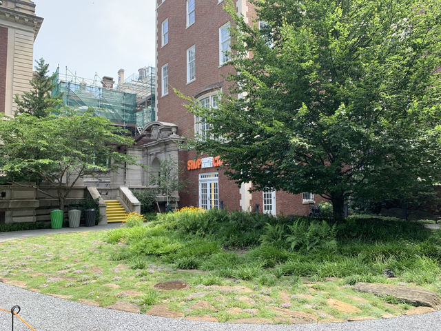Cooper Hewitt, Smithsonian Design Museum