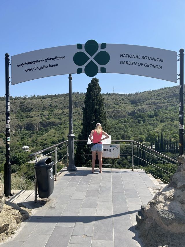 【ジョージア🇬🇪/自然豊かな巨大な植物園 】
