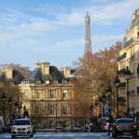 The Eiffel Tower from Afar