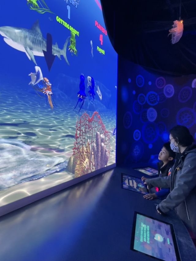 遊覽大笨鐘倫敦眼海洋館行程